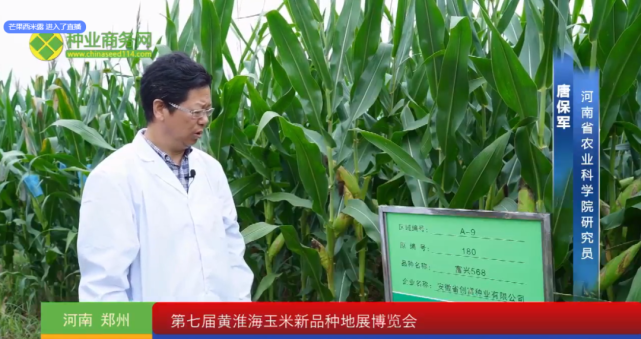 第七届黄淮海玉米新品种地展博览会成功举行!