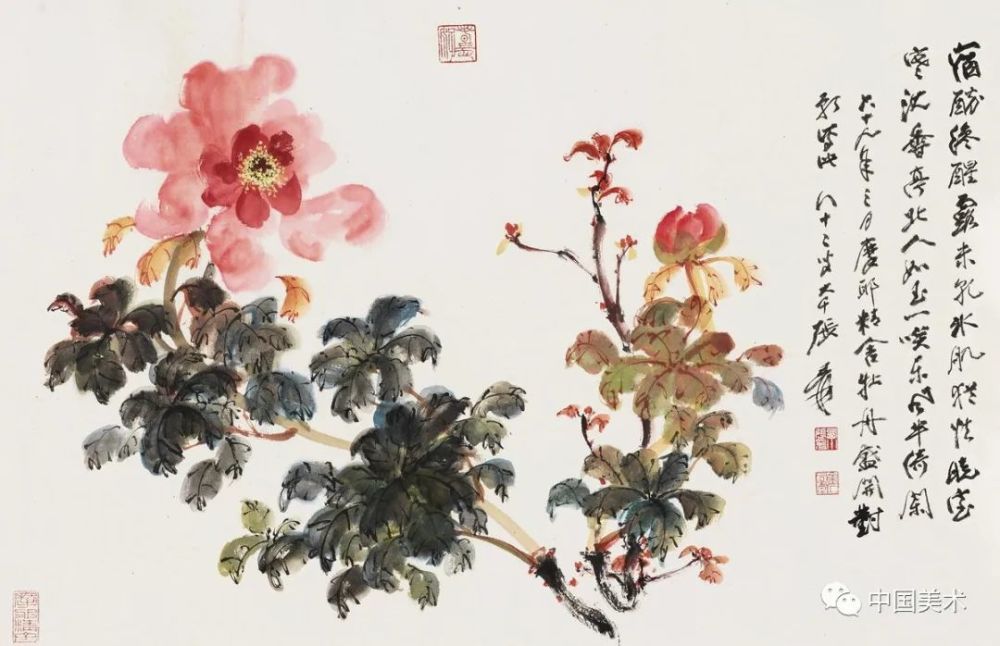 张大千花鸟画(50幅)