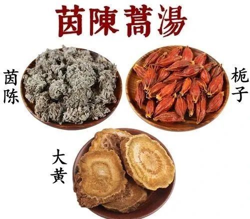 茵陈蒿汤新用