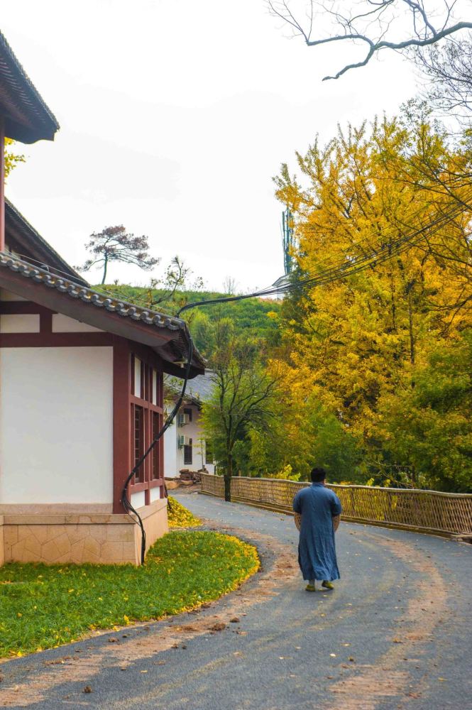 如果秋天来到径山寺,才是真正赚到了!