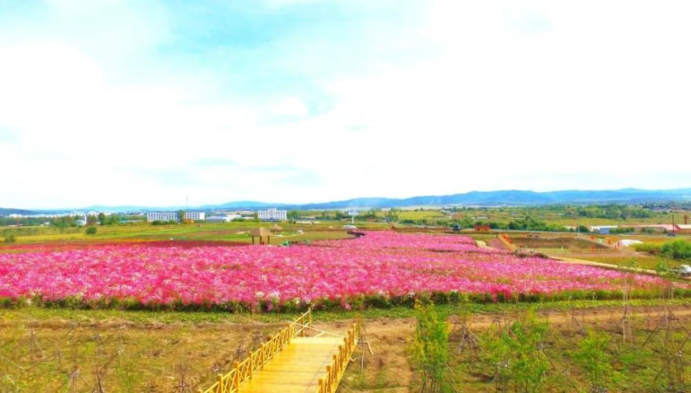 多彩双鸭山 如画美景等您来—紫云岭森岭公园