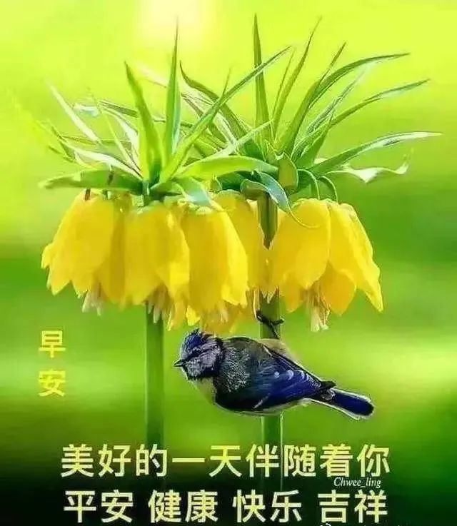 9月17日周五最新早上好问候祝福动态表情图片 早安问候语动态图片表情