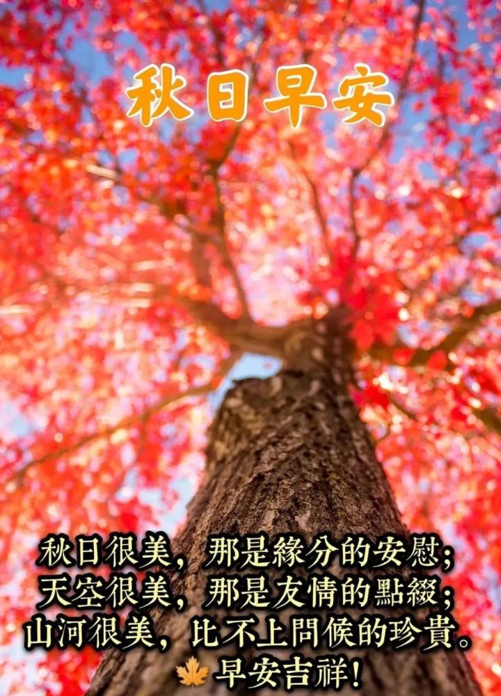 秋日早安早上好图片带祝福语,朋友圈早安问候祝福图片精选