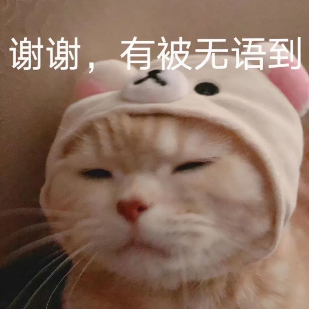 无语表情包真是无语妈妈给无语开门无语到家了