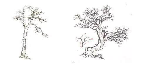 图文教程:一篇文章全面了解山水画树技法|山水画|画法|点叶树|丛树