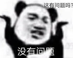 表情包这有问题吗没有问题