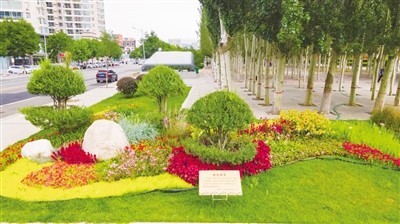 【创建全国文明城市】姹紫嫣红 街边花境各不