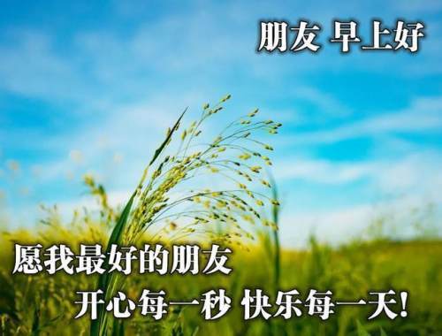 分享朋友圈新版早安图片带字最美的早安祝福问候暖心语录