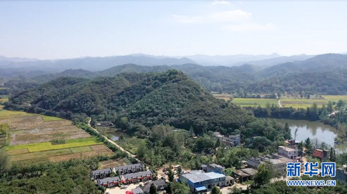 图为航拍大悟县宣化店镇龙山村板栗基地