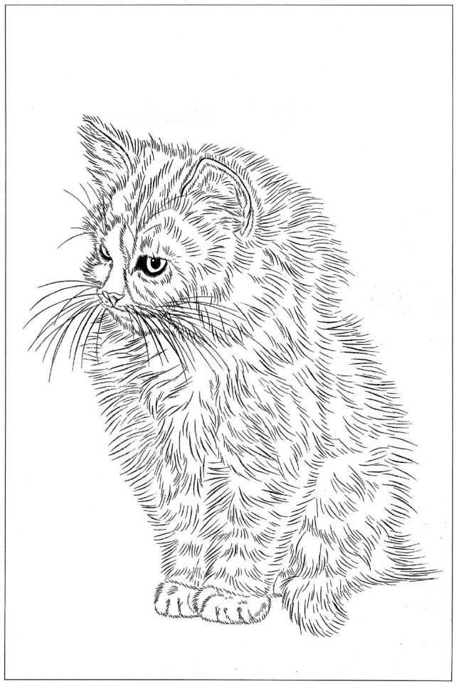 那么上面分享完单独的猫咪白描,下面就是猫咪与景物的组合白描啦!