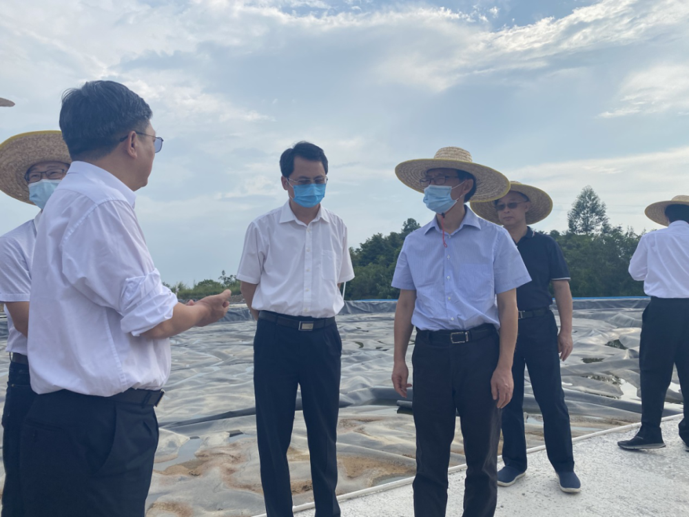 图为督察组在青山填埋厂现场调查 郄建荣 摄