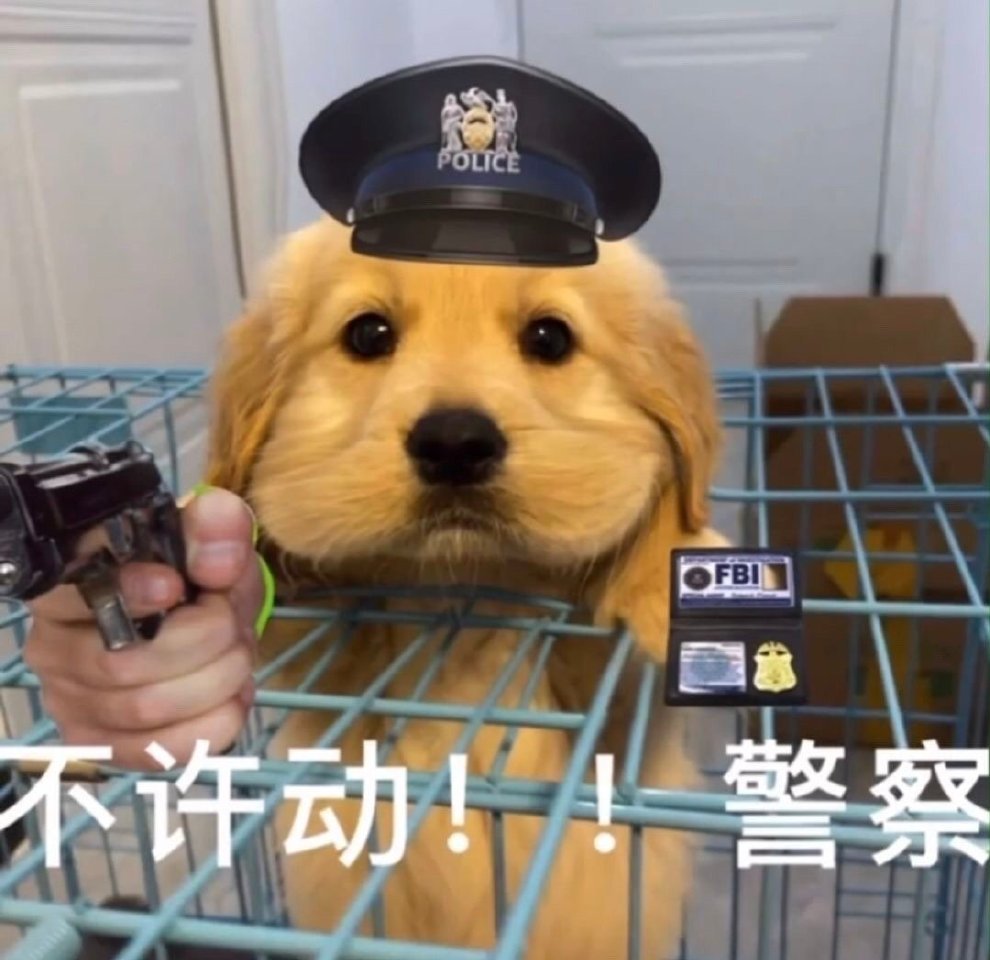 表情包对不起实在憋不住了