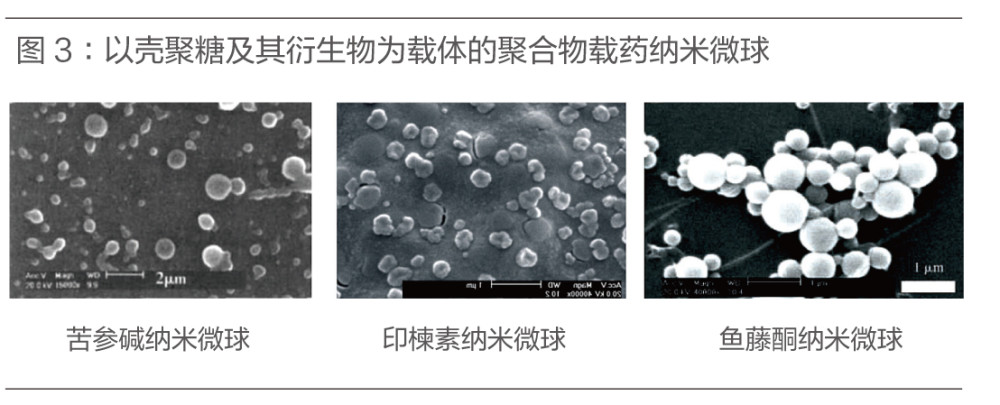 固体脂质体纳米制剂(solid lipid nanoparticles)