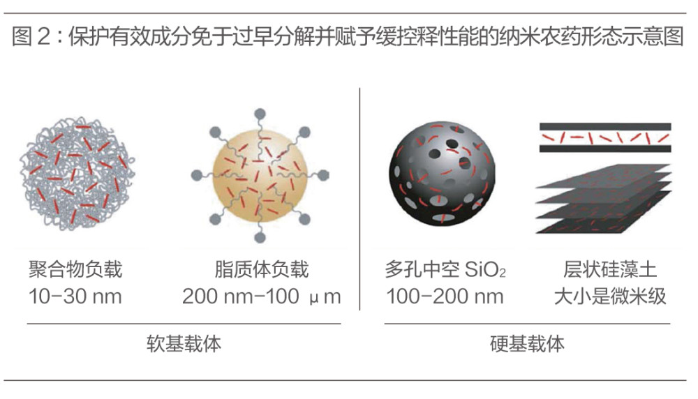 纳米农药技术:农业工作者的新武器