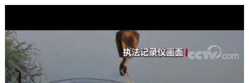 车辆打捞出来后,现场的人员都被眼前的景象震惊了,因为车上除了报案人