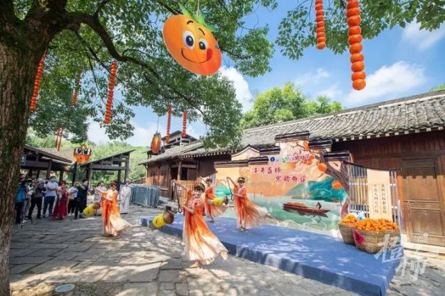 我们为你包下西溪湿地的两棵柿子树,来发帖晒幸福,请你吃"如意柿"