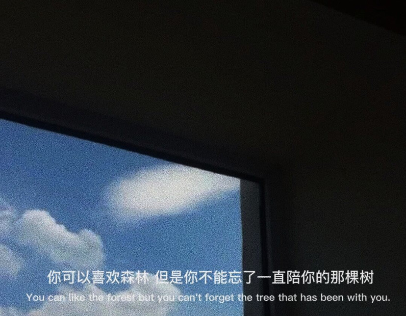 背景|遗憾吗,就这样错过了