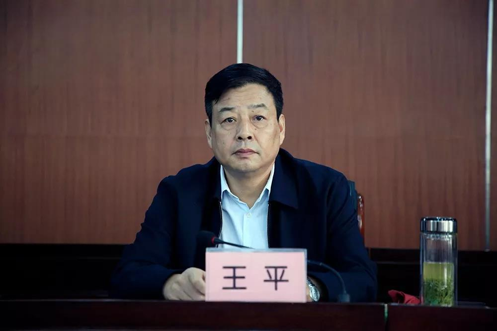 王平(资料图 据官方简历,王平生于1963年3月,曾任开封市公安局南关
