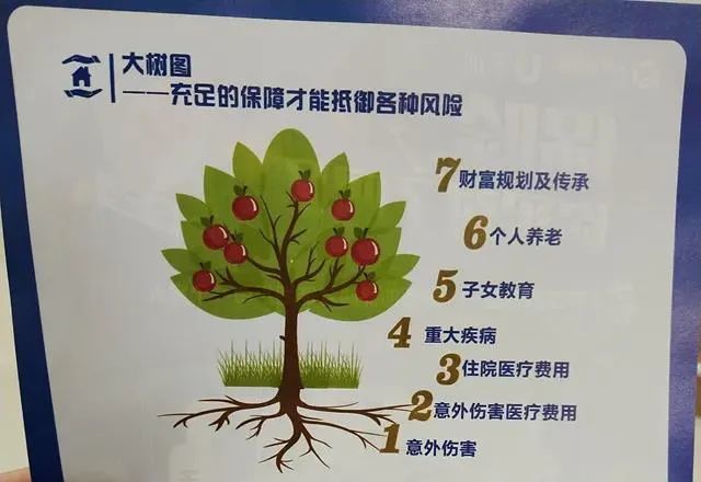 树大根什么成语_成语故事简笔画(4)