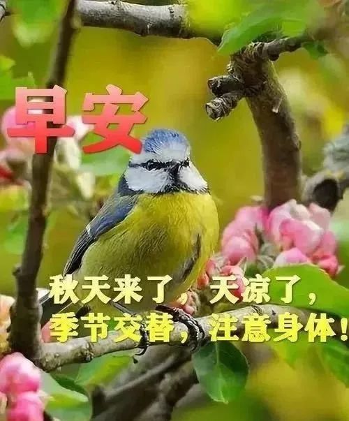 最漂亮秋日风景早上好问候图片带字精选秋天早安图片带字带祝福语