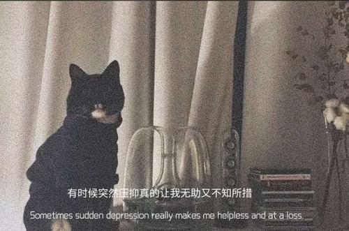 丧到让人心痛的文案背景图:到底经历了多少才让你懂得