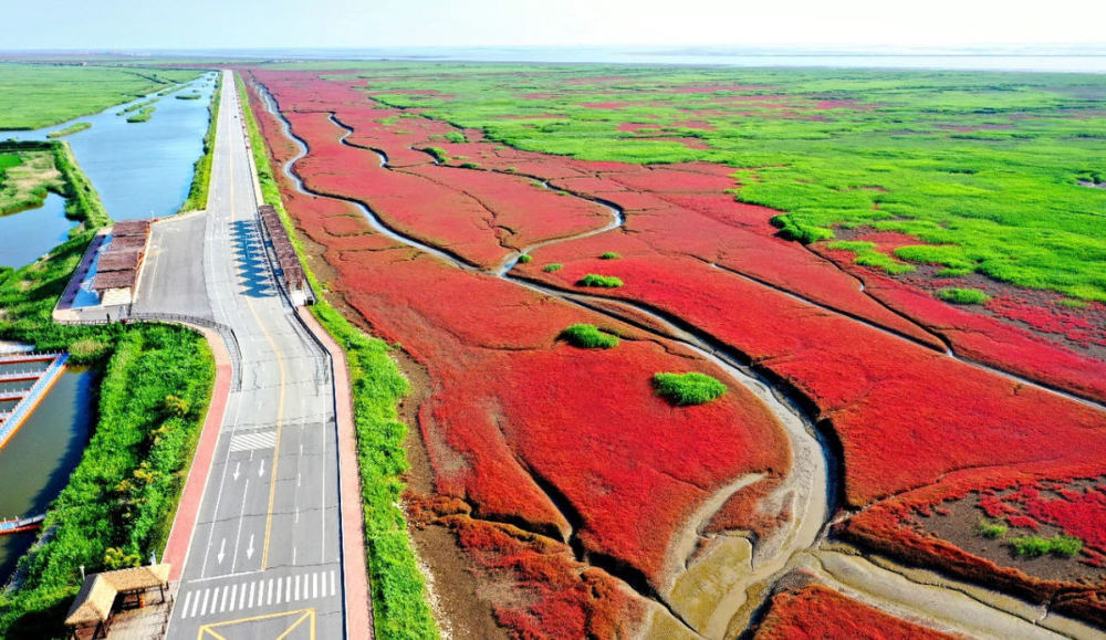 2021盘锦红海滩湿地生态环境保护与湿地生态资源的可持续发展论坛开幕
