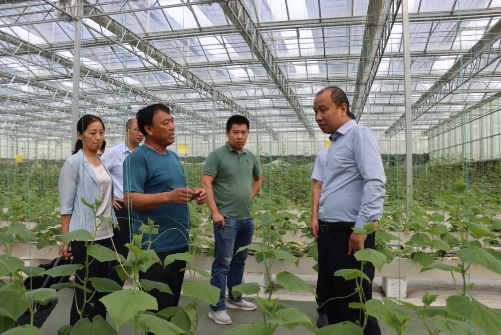 潍坊青州专家教授田间地头把脉问诊校地合作助力群众增收