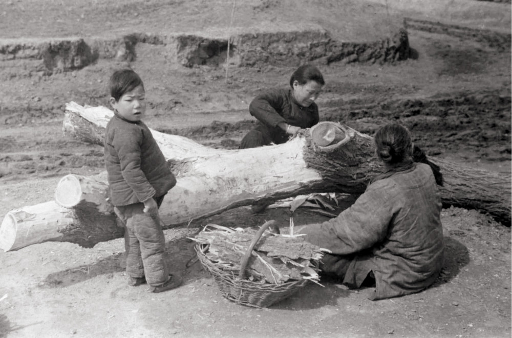 饥荒之年古代穷人靠吃什么为生现代人可能一口都吃不下