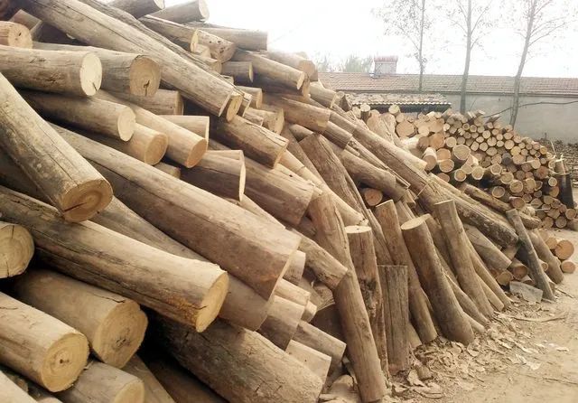 有人花钱在农村专门收购旧木头,旧木头有啥用途?5个用途要了解
