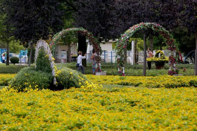 福利|2021年北京菊花文化节开幕