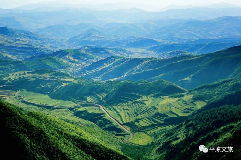 国庆去哪呢庄浪县大庄梯田大地年轮梯田王国