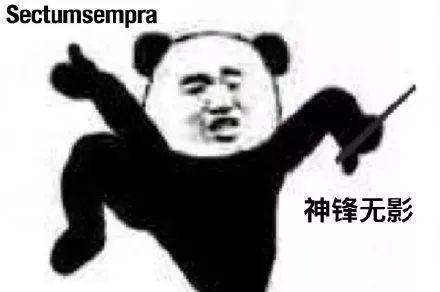 《哈利波特》沙雕表情包|咒语和比心