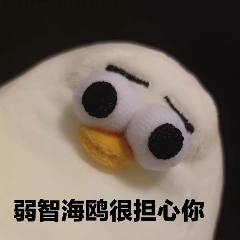 最近超火的睿智海鸥表情包