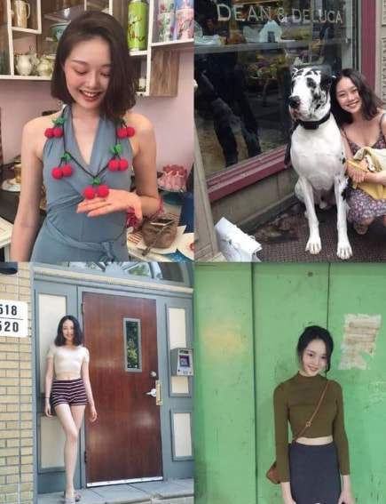 心机名媛晚晚从野心网红成京圈贵妇手腕堪比邓文迪