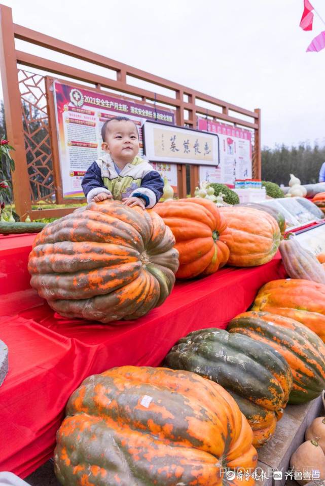 中秋悦|沂水沙沟镇的农民丰收节,瞧瞧这92斤的大南瓜