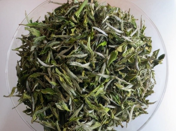 白茶特有的三种茶香