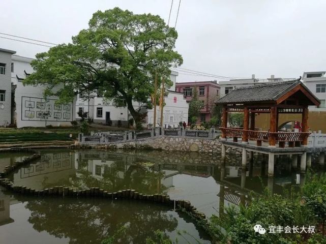 宜丰县石市镇土桥村采风剪影