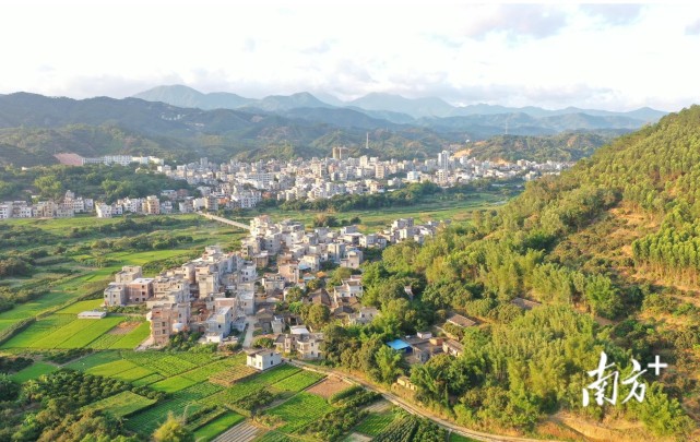 村入选广东省森林乡村,数量在茂名地区居首|广东|茂名|根子镇|高州市