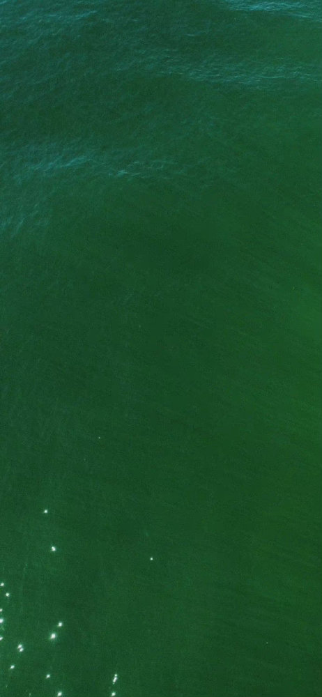 护眼绿色手机壁纸,简约风格