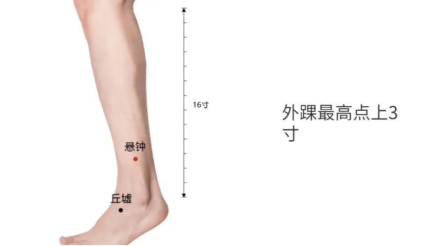 「位置:外踝尖上3寸