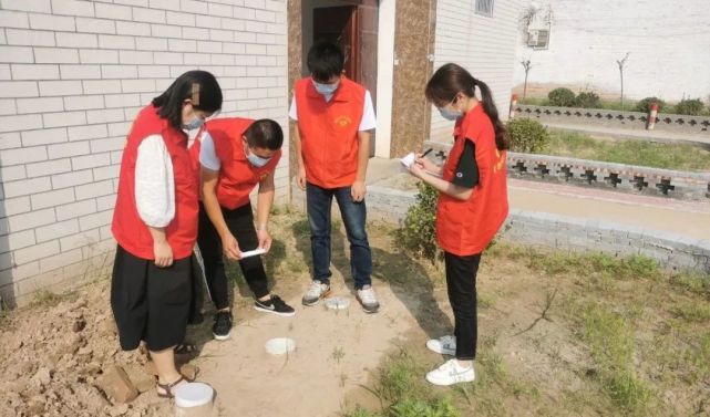 近日,李庄镇结合"我为群众办实事"实践活动,组织青年志愿者开展农村改