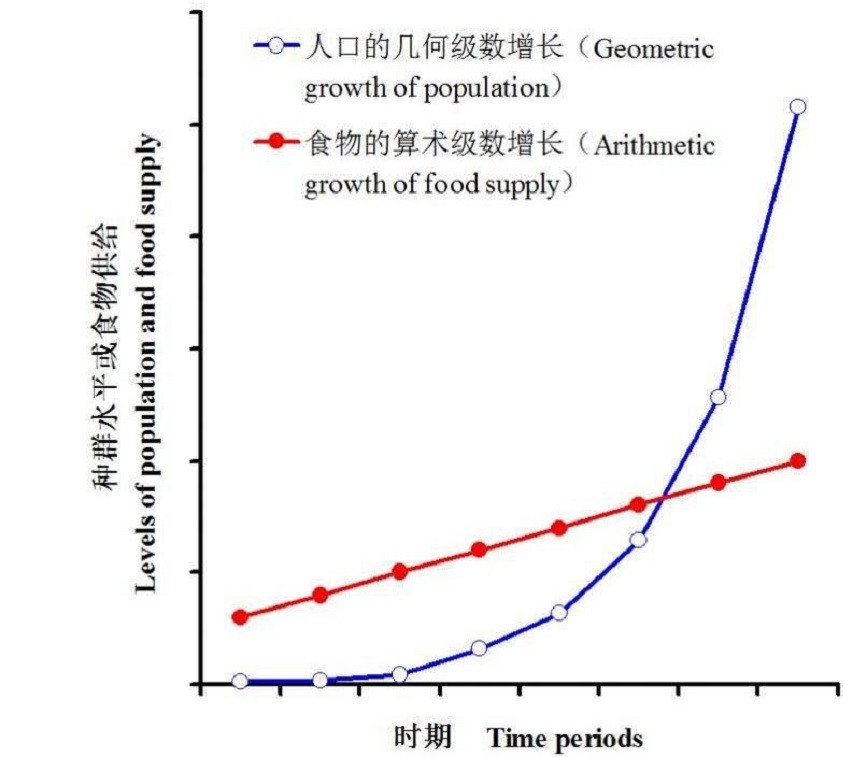 人口陷阱理论_中国贫困人口研究 文字版(2)