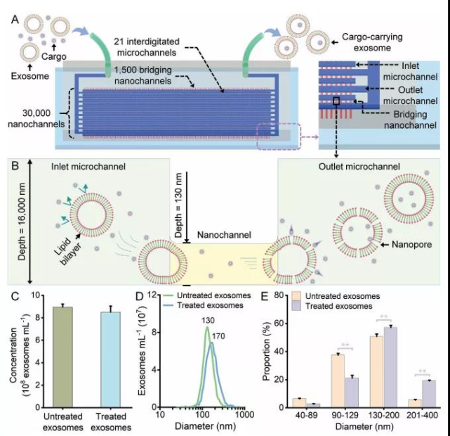 陈根新型外泌体系统实现最高通道数量