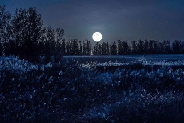 情人怨遥夜,竟夕起相思!海上生明月,天涯共此时.张九龄:望月怀远现代