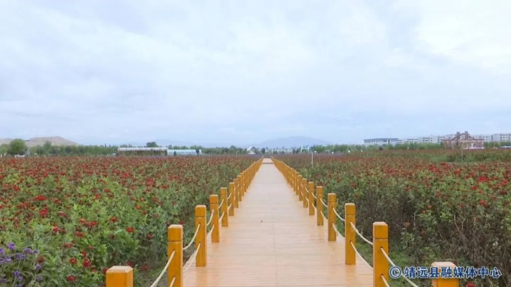 【网络中国节 中秋】靖远水岸三合景区焕然一新迎客来