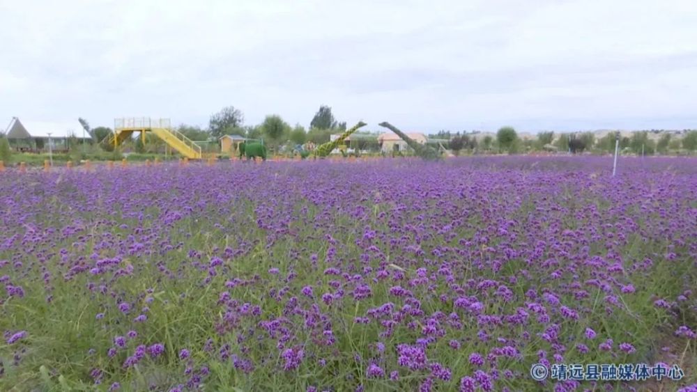 【网络中国节 中秋】靖远水岸三合景区焕然一新迎客来