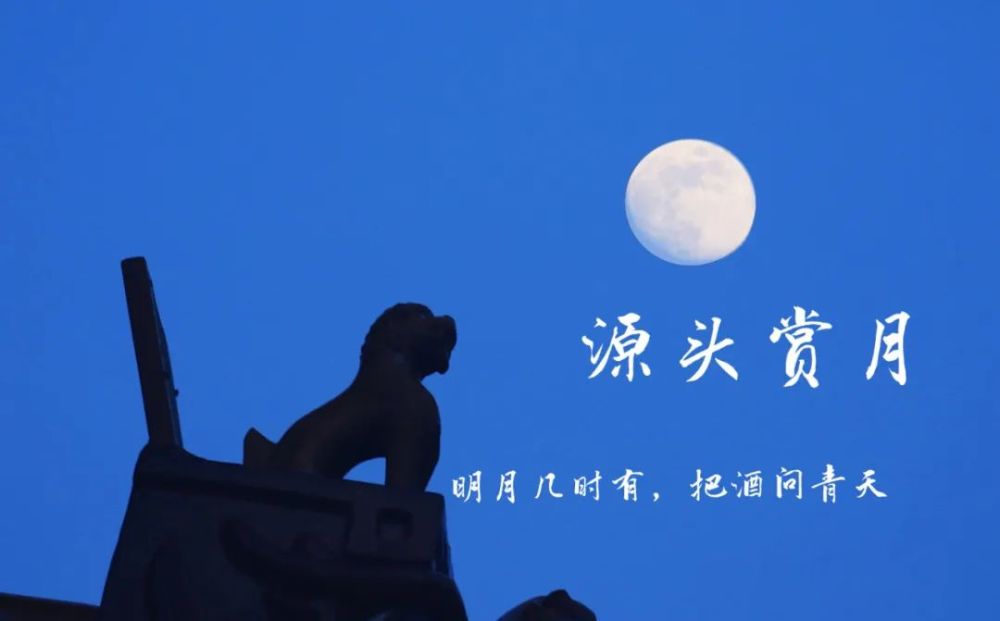 今夜,十五月亮十五圆