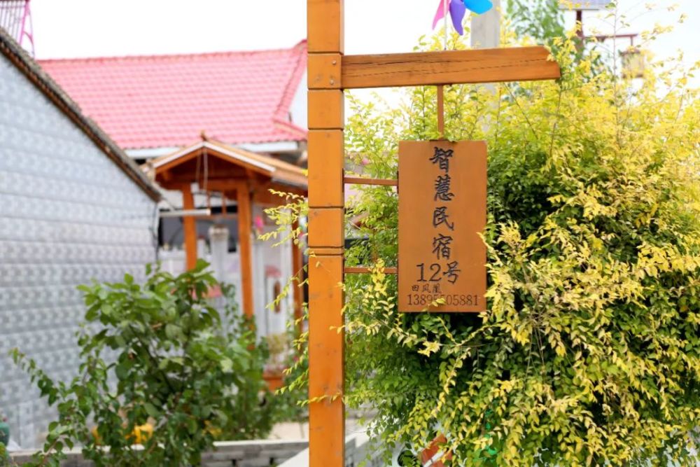 红寺堡区永新村智慧民宿让百姓过上有钱景的好日子
