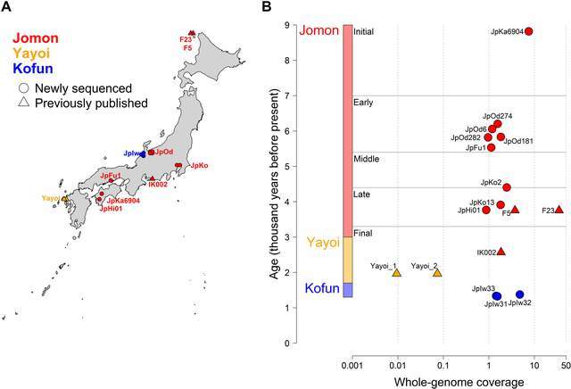 古代日本人口_古DNA研究显示 中国汉族或是现代日本人祖先,日网友称并不意外