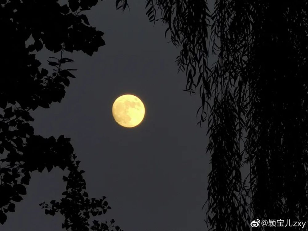 对着月亮许个愿吧愿大家平安健康,幸福喜乐图片来源:微博网友,具体